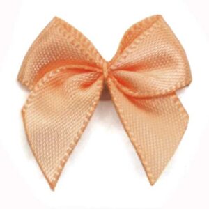 Fiocchetto raso tinta unita (Pz. 2) - Salmone